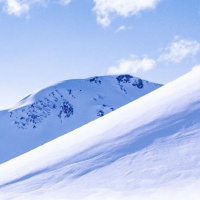 人有德必有福，我们要跟有德的人学习