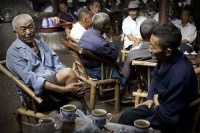 如今进入茶圈的人越来越多，一定要懂茶才喝茶吗？