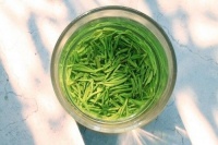 茶市场水那么深，绿茶怎么购买不会翻车？