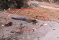 广西一对夫妻在隧道口发生车祸，双双身亡