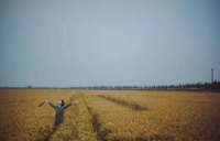 三问自己，问到心酸！