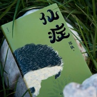 好书推荐|《仙症》电子版