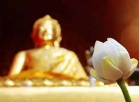 俗语“财不进急门”，老祖宗用智慧告诉你，这是真正的致富之道！