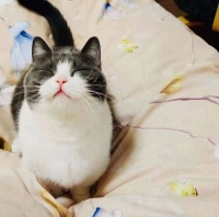 与爱写作的你说说心里话