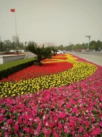 人生经典禅语49条