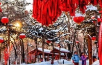 俗语：“寡妇年，倒春寒”，19年除夕当天立春，今年春节有多冷