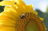 朋友圈很火的阳光励志句子，精辟深刻，句句获赞