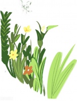 要慢慢喜欢你，余生都是你