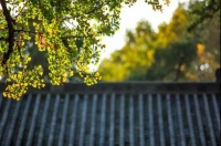 把别人的不好拿来烦恼，那是自己的愚痴！