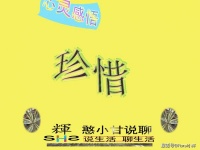 心灵感悟——珍惜