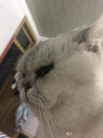 想开一家书店，放些老旧的歌曲，有天窗，也有落地窗