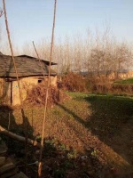 回到故乡的老屋，一年多的时间，都已不再是从前的旧模样