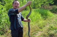 俗语：“蛇进家门不能打”，说的啥意思？你们那有这种说法吗？