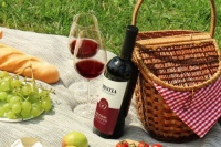 格鲁吉亚Mestia梅斯蒂亚葡萄酒“酒香常在，回味长存”