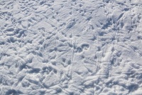 凡是过往，皆为序章 ，岁末将至，敬颂冬绥