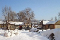 大寒已过，春节将至，这两个关于明年年景的俗语，你见过不？