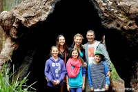 渐行渐远的亲人