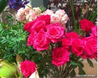 第四届征文大赛 | 《玫瑰》