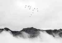 留白，宋朝汝瓷的艺术境界