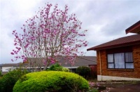 古代俗语：“饭前不训子，睡前不训妻”，啥意思？老祖宗说的在理