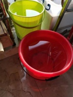 家庭养锦鲤和金鱼五大关键点，弄明白了省心省事