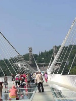 鹿鸣兔走多闲趣，草舍前头野菊翘