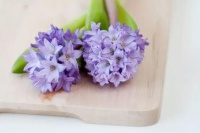 生活不是这样就是那样，总之不会是你想的那样