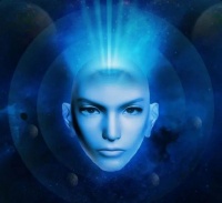 智慧来自哪里？