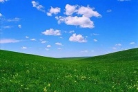 父母之间互敬互爱，子孙必会诚实守信，衣食无缺（三）