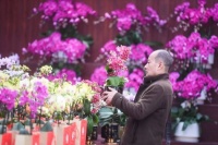 擘画现代农业发展新蓝图，台创园兰花展暨项目集中开工活动举行