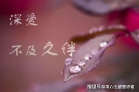 爱与心疼，是没办法隐藏的