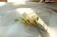 一定会有人喜欢你最真实的模样