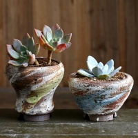 3种花盆，再好看也不要用来养多肉，容易烂根化水！