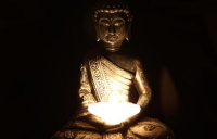 书荒，不存在的，看看这本开洪荒流先河的网络小说