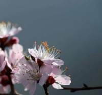 早读：保持年轻的心态，是人生最好的状态