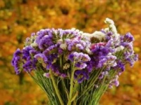 《关雎》（《诗经》）情景默写专练（含答案）