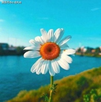 做好自己，无需改变别人