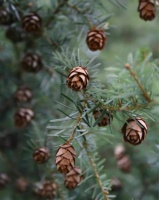 人生一站有一站的风景，一岁有一岁的从容 ｜阅读时光