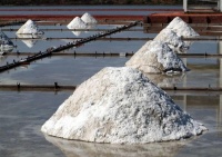 中国此物三元一斤无人问津，日本上万一斤却遭疯抢，原因是什么？