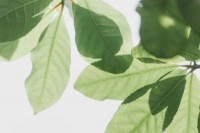 青听｜我不是“别人家的孩子”，但我有个好爸爸