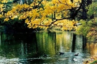 老一辈人怎么做，子孙一定会发达？