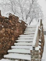 玉台几度闻歌舞，飘落尘途数九天