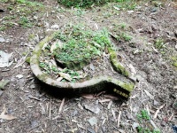 李文全随拍：记忆指南针，直指落在村庄里的童心