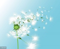 快乐与满足的秘诀：活在当下，给自已第二个人生的希望