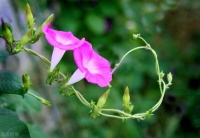 与别人交谈时，少说自己的这3件事，福气会越来越多