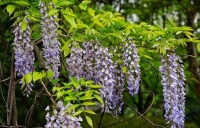 当看破一切的时候才知道，原来失去比拥有更踏实