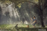 终有一天你会明白，世间之事，其实都是有“定数”的