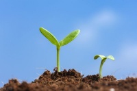 当你真喜欢做一件事的时候，纵有再大的困难你也会坚持下去