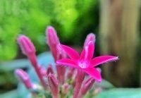 生活其实很简单，过了今天就是明天