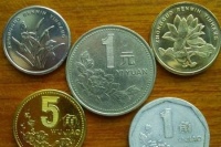 快看看你家里的菊花1角还在不在？